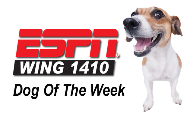 ESPN-WING 1410 & Humane Society of Greater Dayton Dog Of The Week